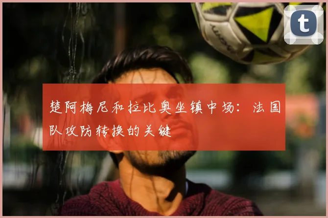 楚阿梅尼和拉比奥坐镇中场：法国队攻防转换的关键